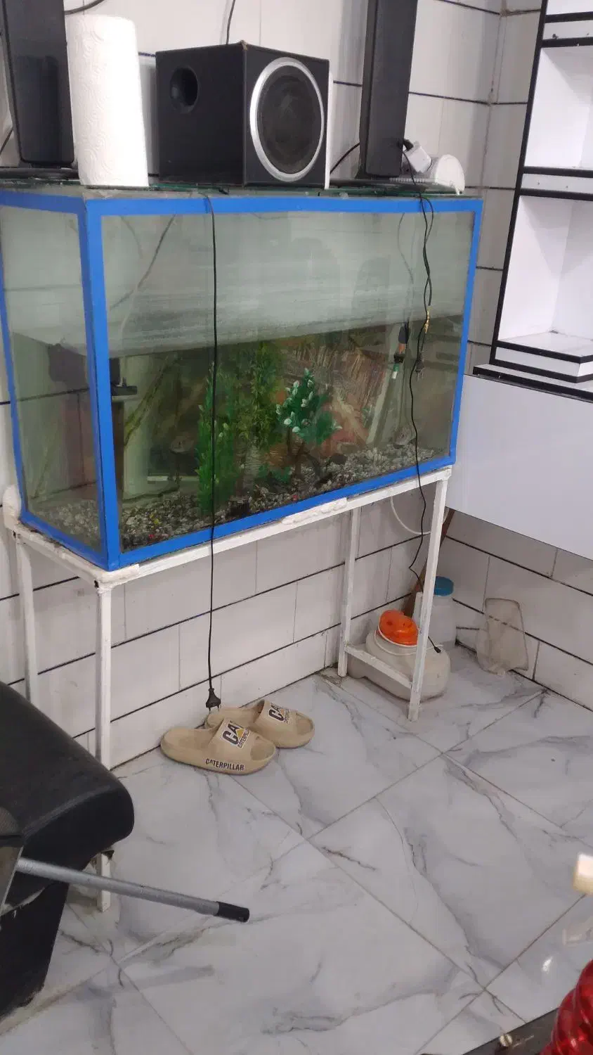ا یک عدد اکوریوم با تمام وسایل|ماهی|جیرفت, |دیوار