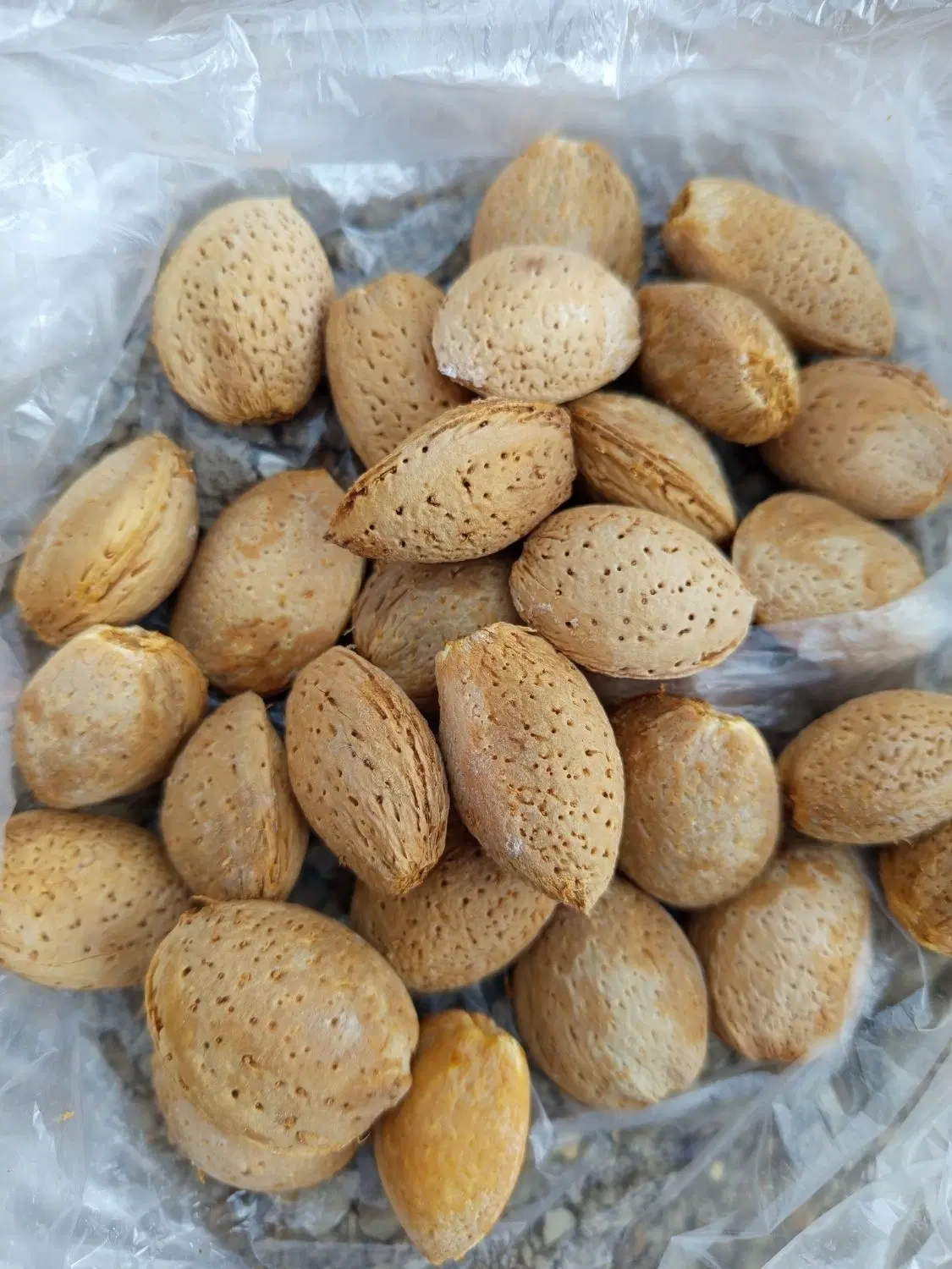 بادام|خوردنی و آشامیدنی|تفرش, |دیوار