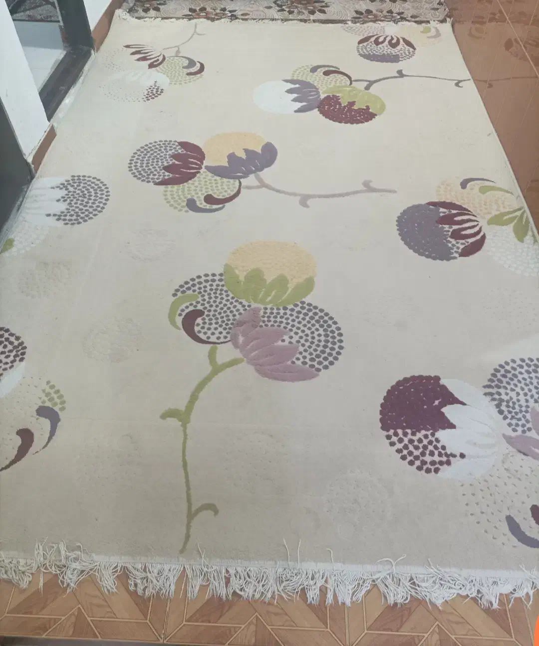 گلیم|گلیم، جاجیم، گبه|نورآباد, |دیوار