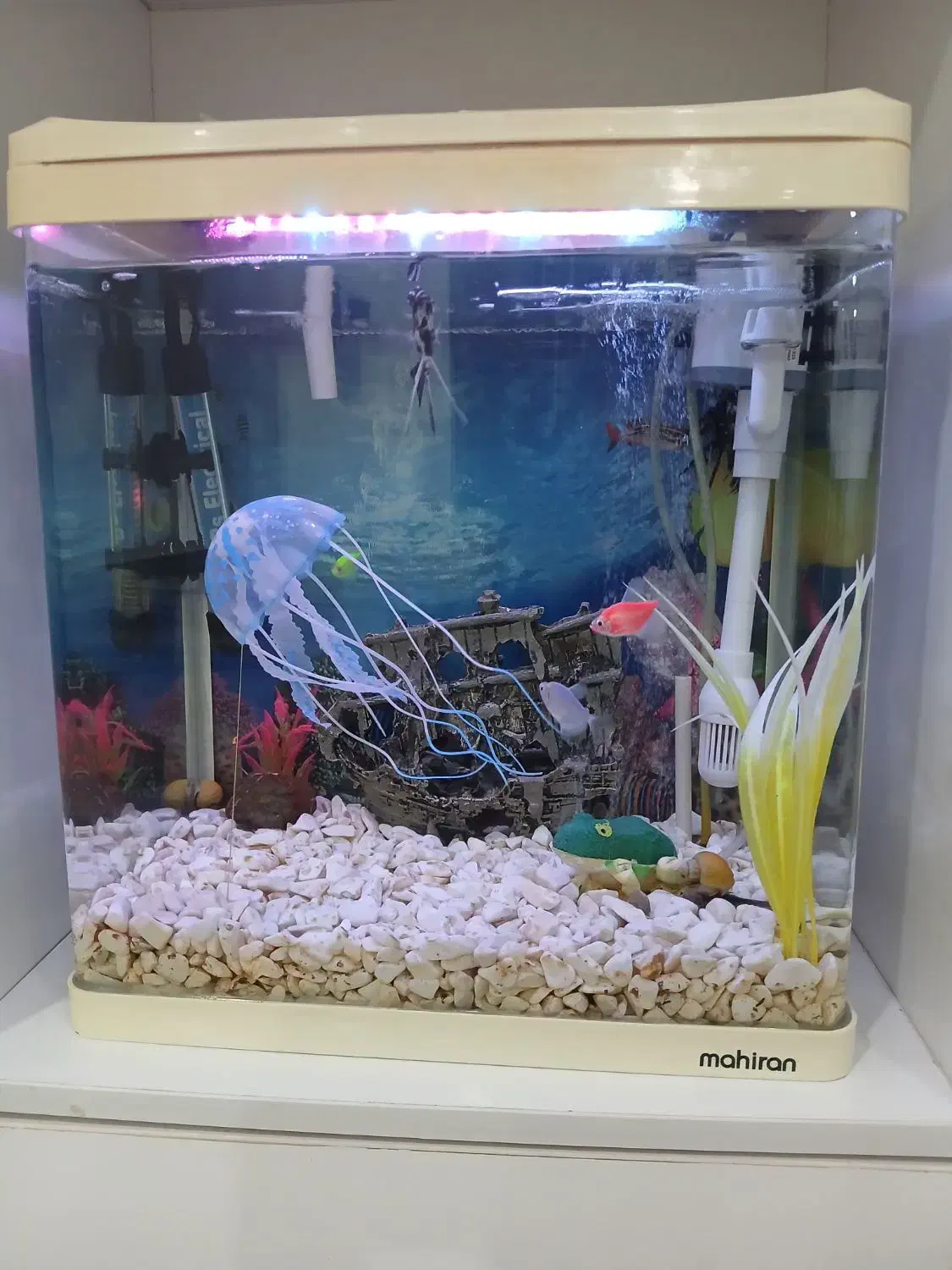 آکواریوم|ماهی|رباطکریم, نصیرشهر|دیوار