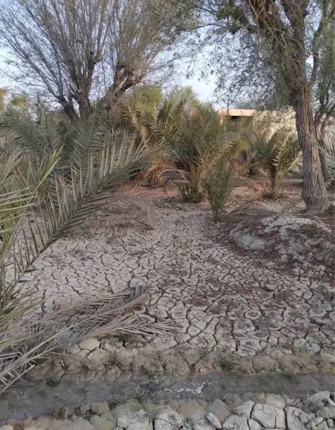 فروش خانه باغ زیرانگ|فروش خانه و ویلا|قشم, |دیوار