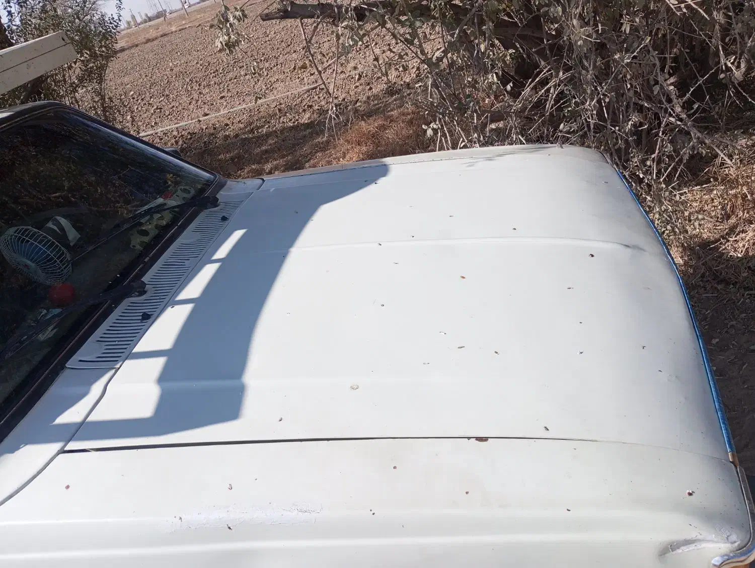 پیکان وانت|خودرو سواری و وانت|زرین دشت (همدان), |دیوار