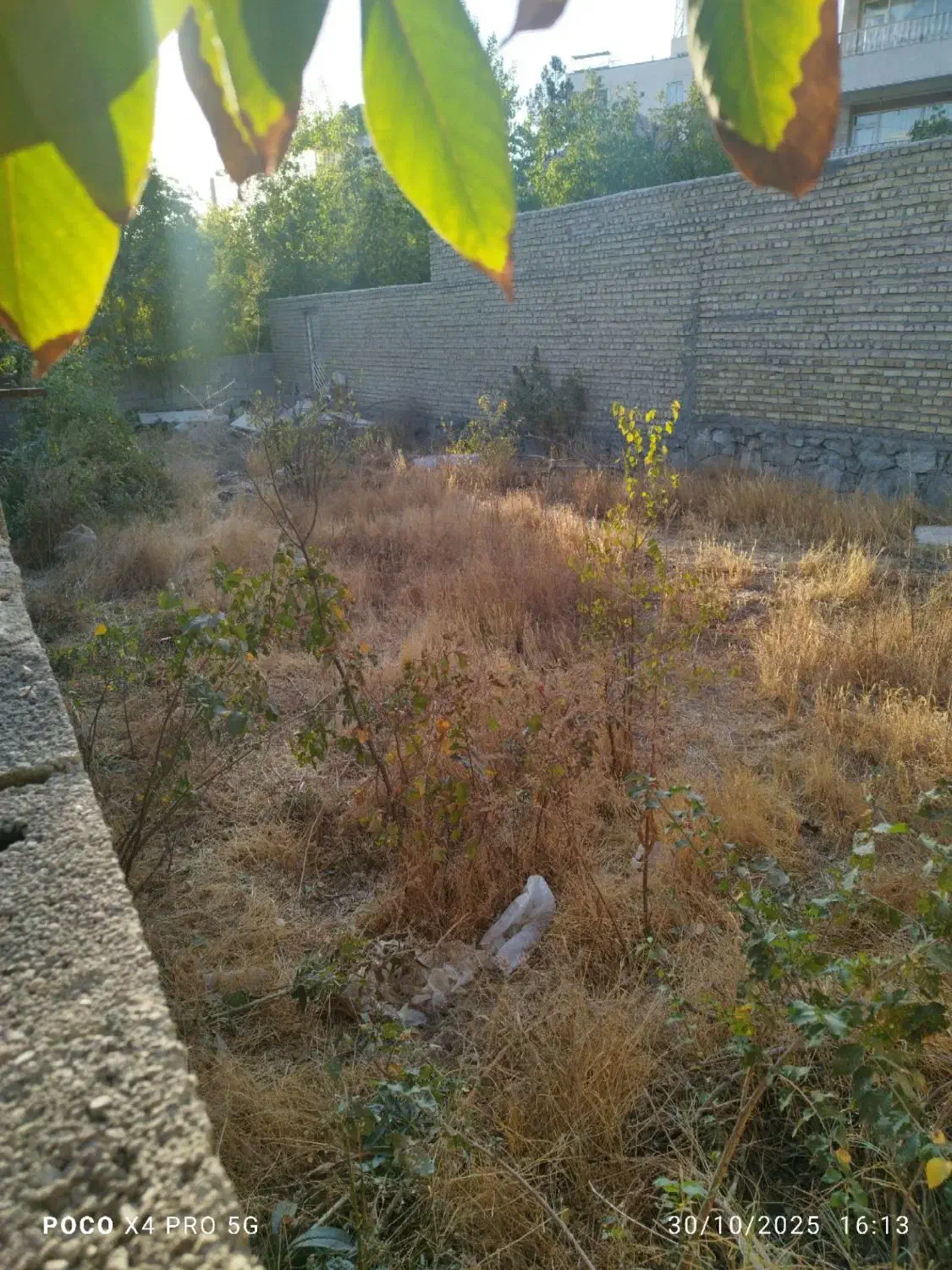 زمین ۲۰۰ متر واقع در کوشکوزر|فروش زمین و ملک کلنگی|هشتگرد, کوشک زر|دیوار