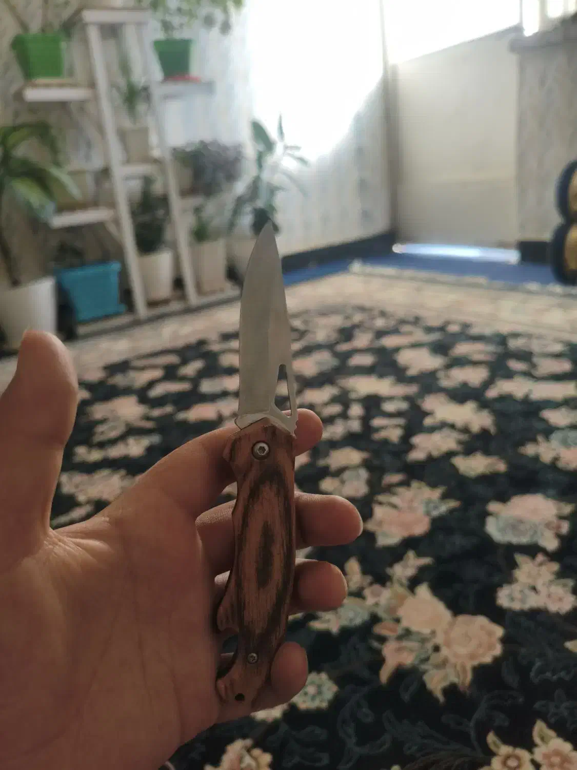 چاقو|کلکسیون و سرگرمی|یاسوج, |دیوار