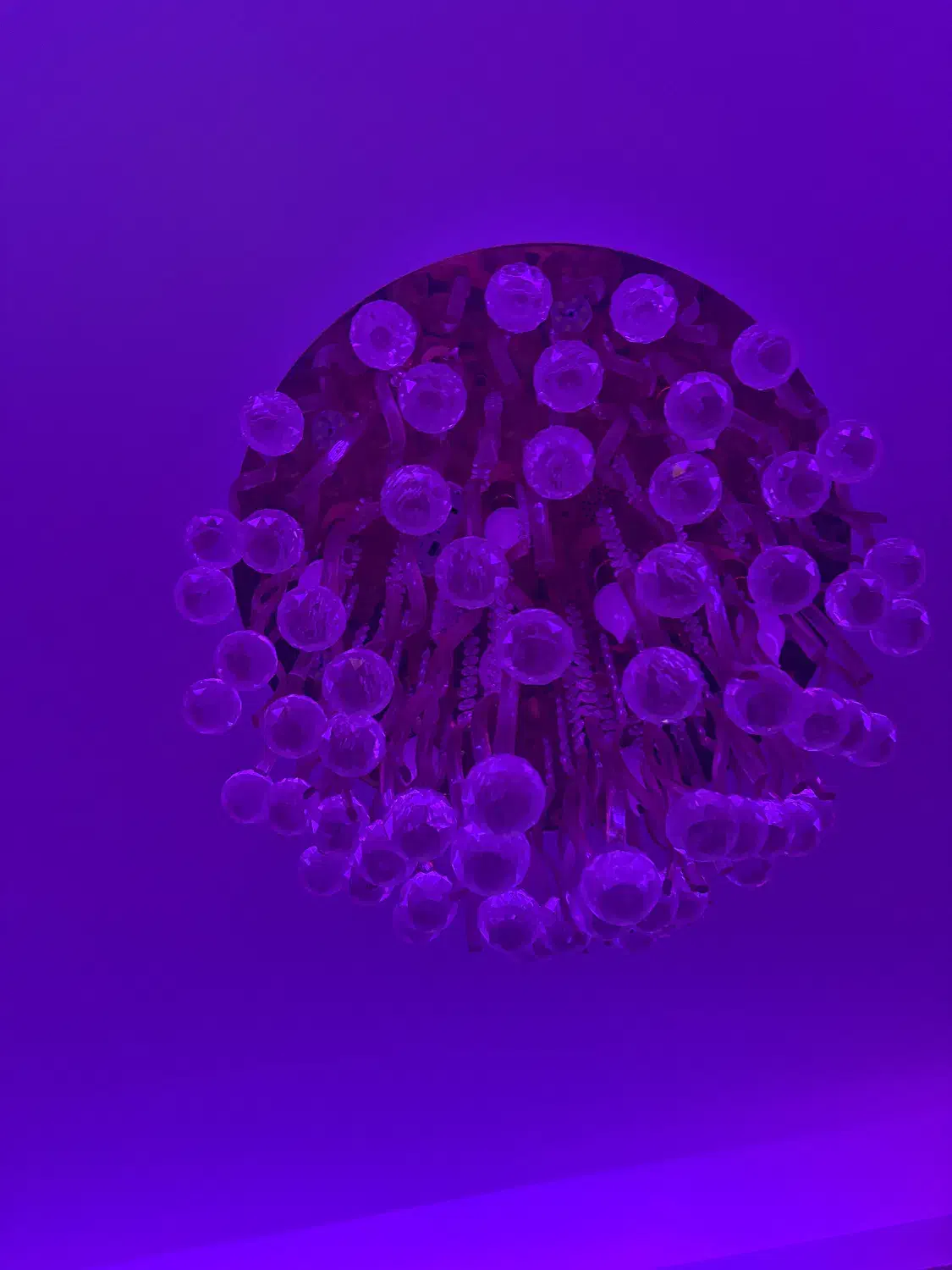 لوستر سقفی|لوستر و چراغ آویز|تبریز, |دیوار