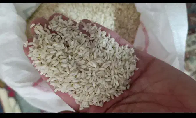 برنج عنبربو(اَلوان)|خوردنی و آشامیدنی|کوهدشت, |دیوار