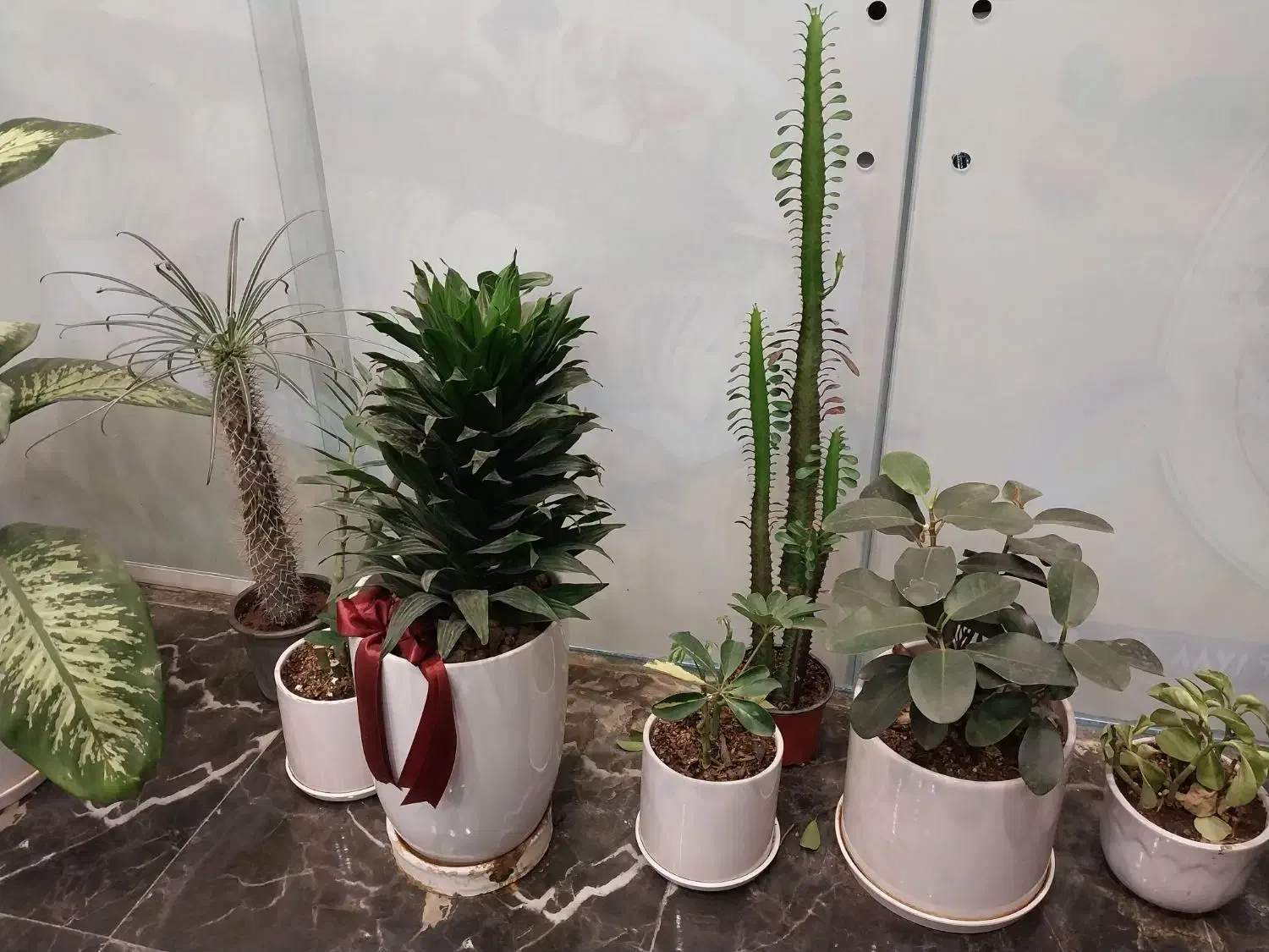 تمیزکاری ساختمان|خدمات نظافت|جهرم, |دیوار