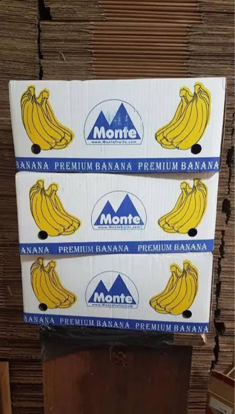 کارتن موز|ابزارآلات|پرند, فاز ۶|دیوار