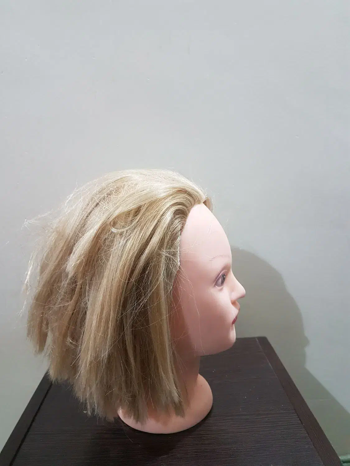 کله مانکن دکوری و آرایشی برای تمرین|آرایشی، بهداشتی، درمانی|تهران, مینای جنوبی|دیوار