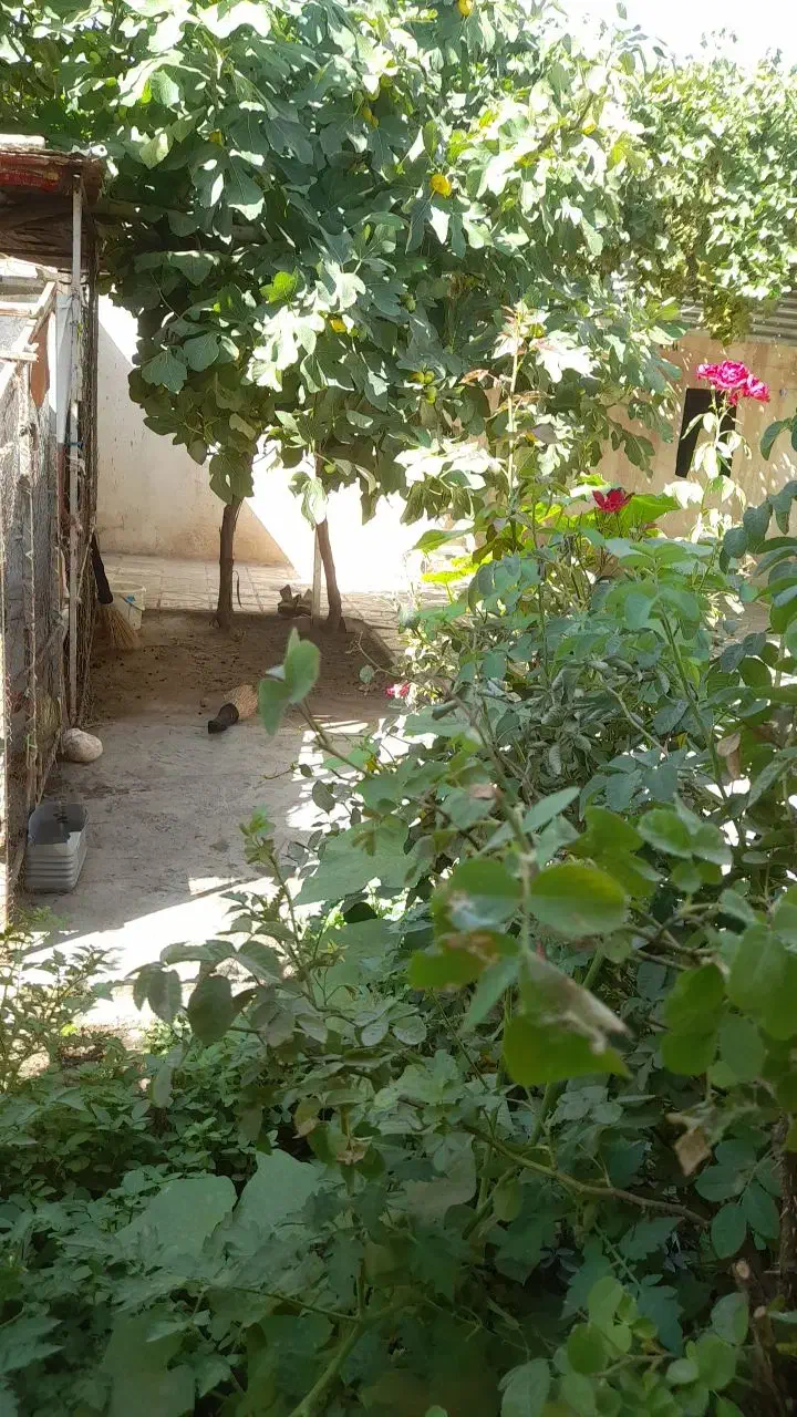 خانه ویلایی.|اجارهٔ آپارتمان|زبرخان, |دیوار