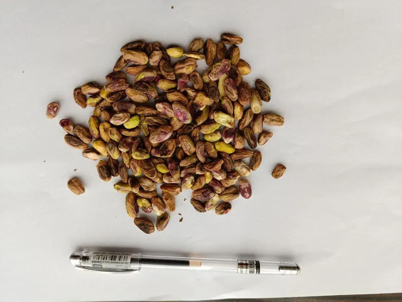 پسته ی پوک و روآبی|عمده‌فروشی|تربت‌حیدریه, پائین ولایت|دیوار