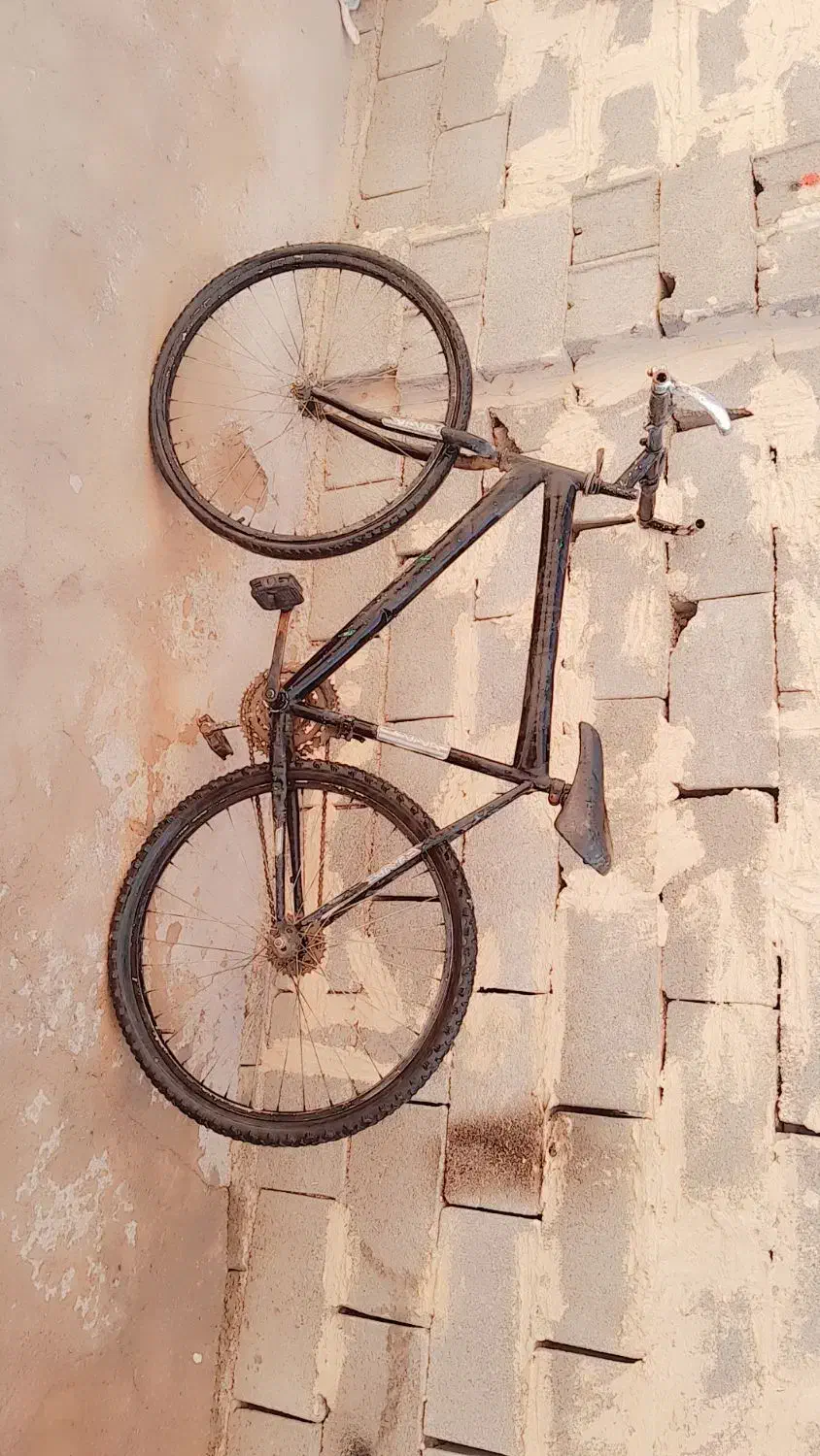 دوچرخه دنده ای|دوچرخه، اسکیت، اسکوتر|لردگان, |دیوار