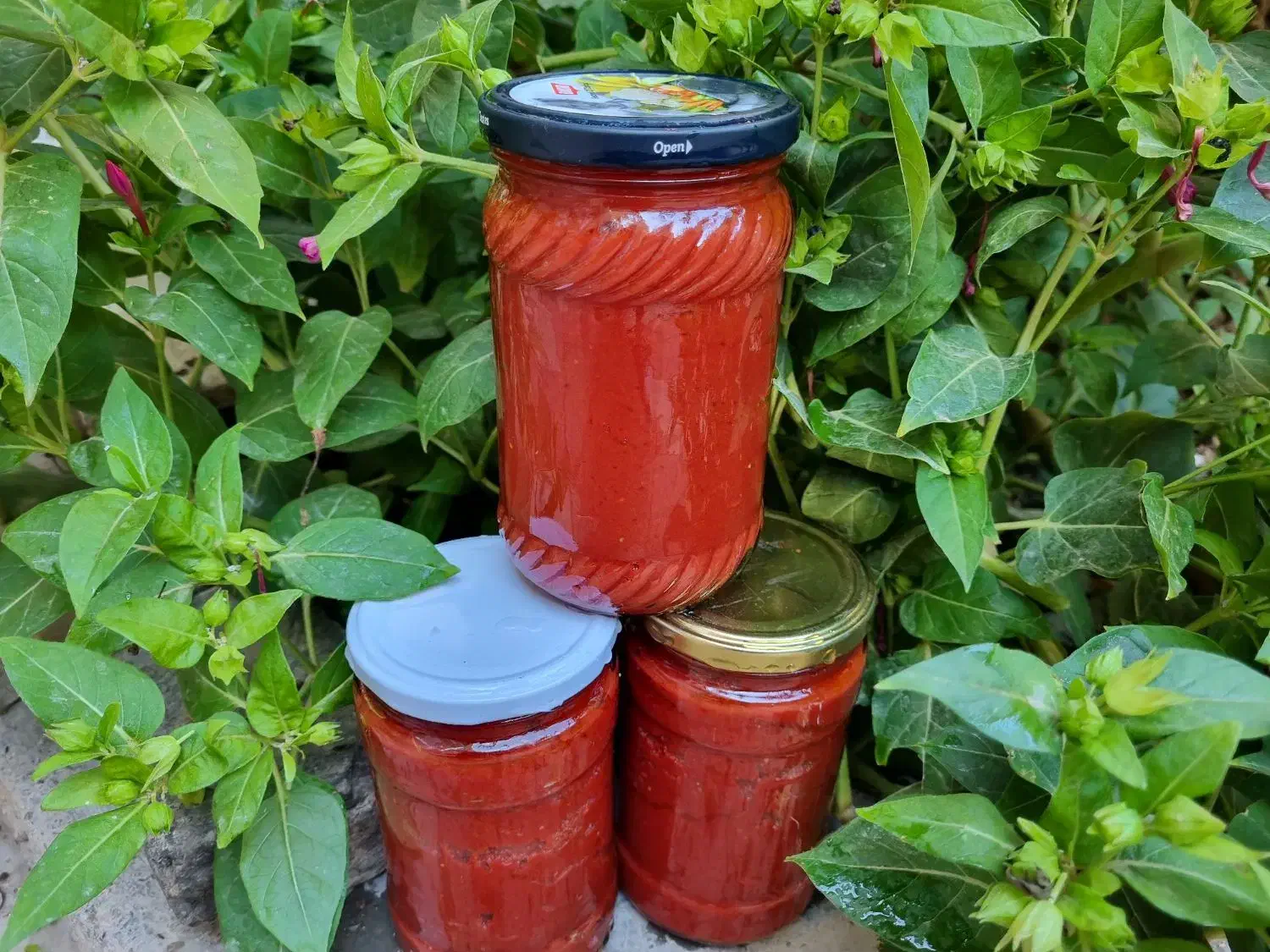 رب گوجه خانگی با گوجه فرنگی بسطام|خوردنی و آشامیدنی|بسطام, |دیوار