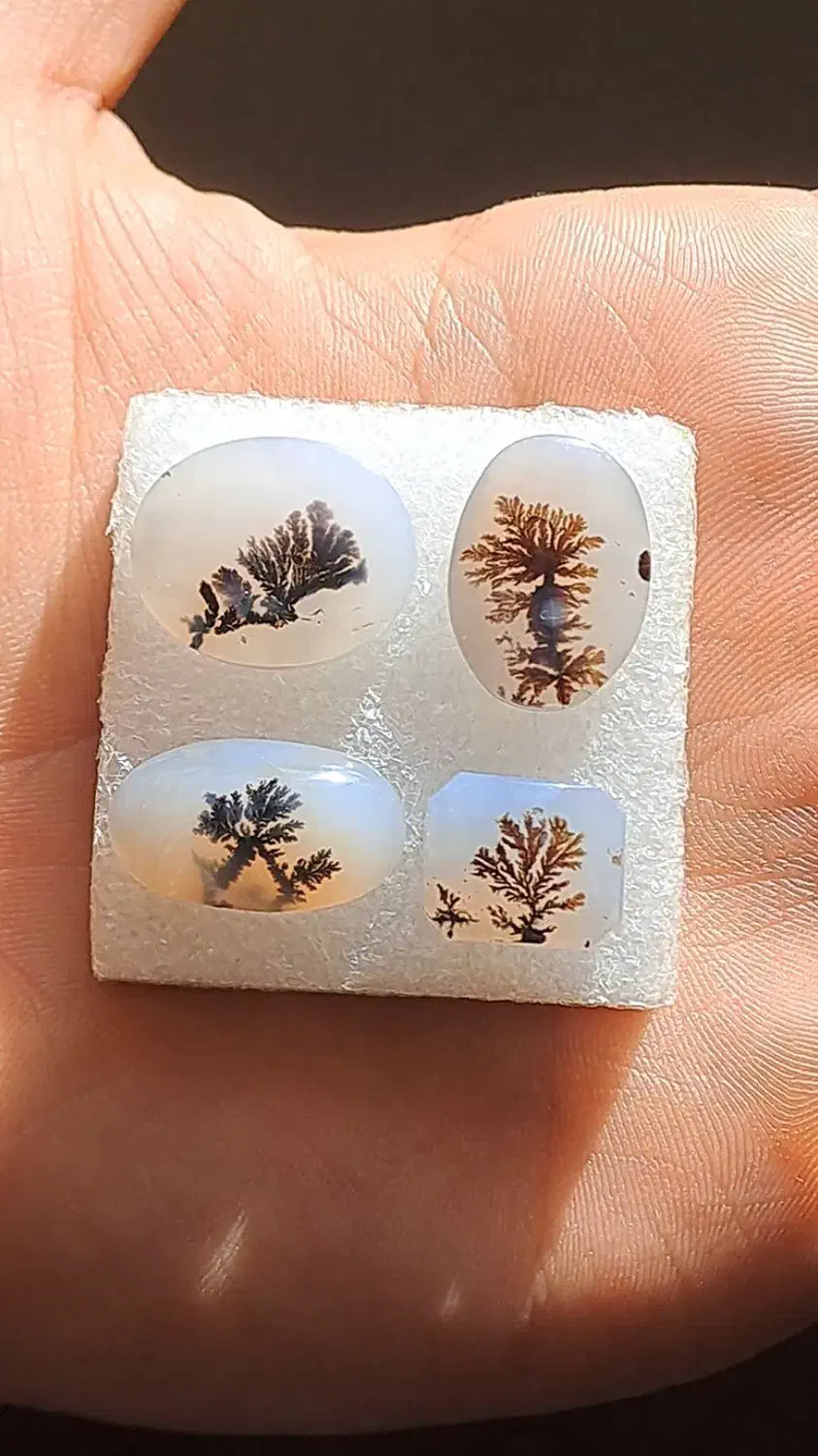 چهار عدد سنگ شجر قائنات|جواهرات|قم, علی آباد|دیوار