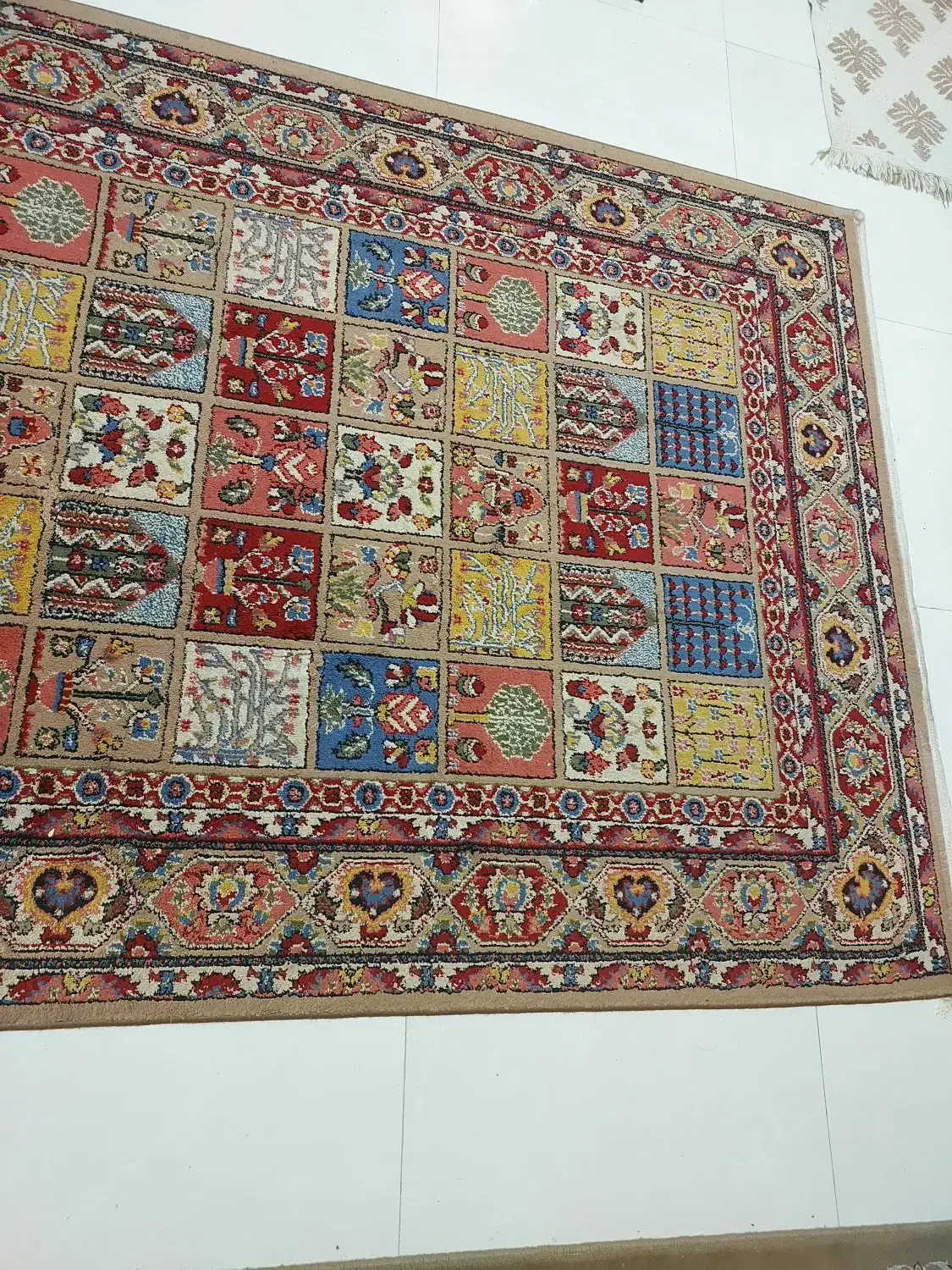 قالی ۳ متری|فرش|اهواز, زیتون کارمندی|دیوار