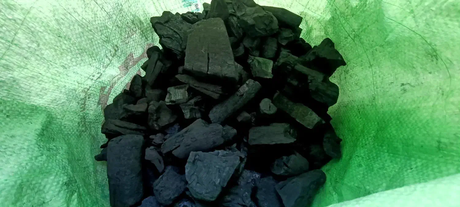 زغال کبابی|کافی‌شاپ و رستوران|شاندیز, |دیوار