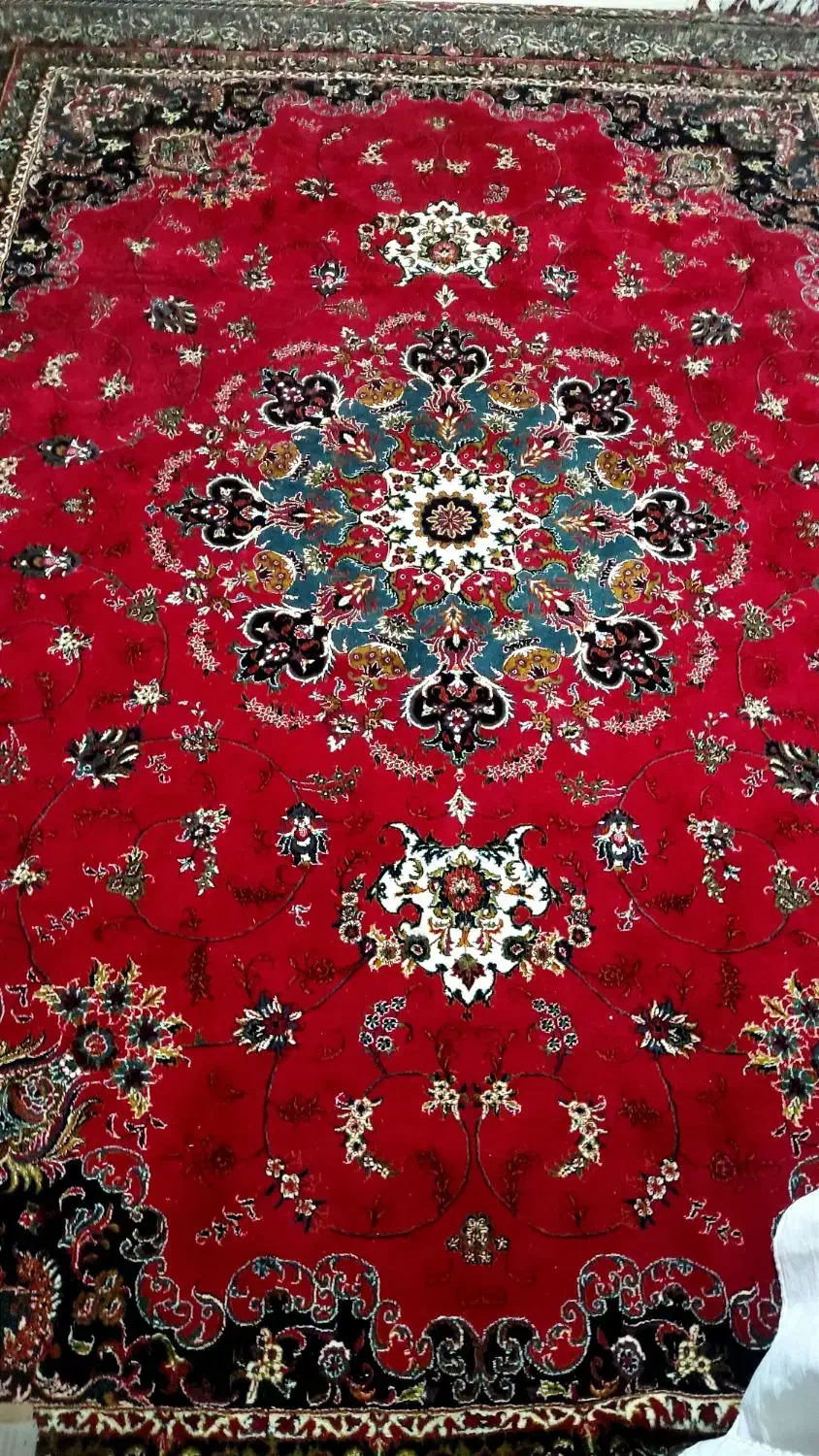 فرش 12 متری|فرش|سنندج, |دیوار