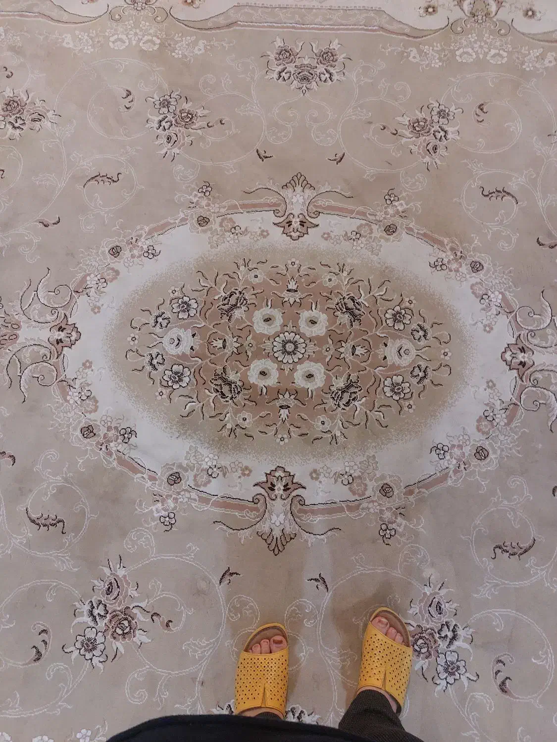 فرش ماشینی|فرش|زنجان, |دیوار