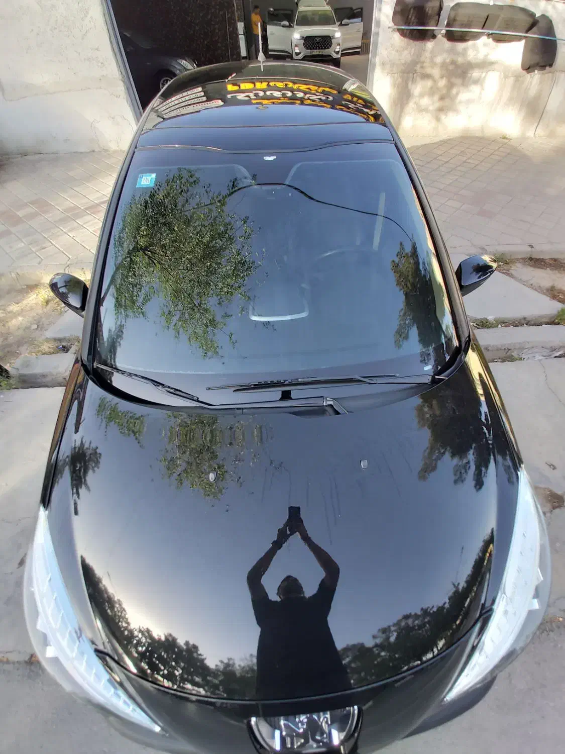 شیشه دودی تخصصی|خدمات پیشه و مهارت|اصفهان, بهارستان|دیوار