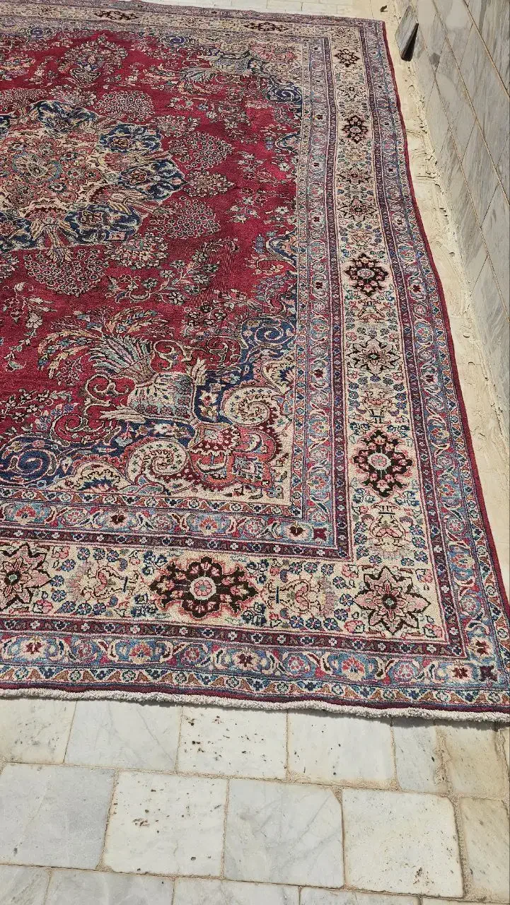 فرش دستبافت|فرش|بیرجند, |دیوار