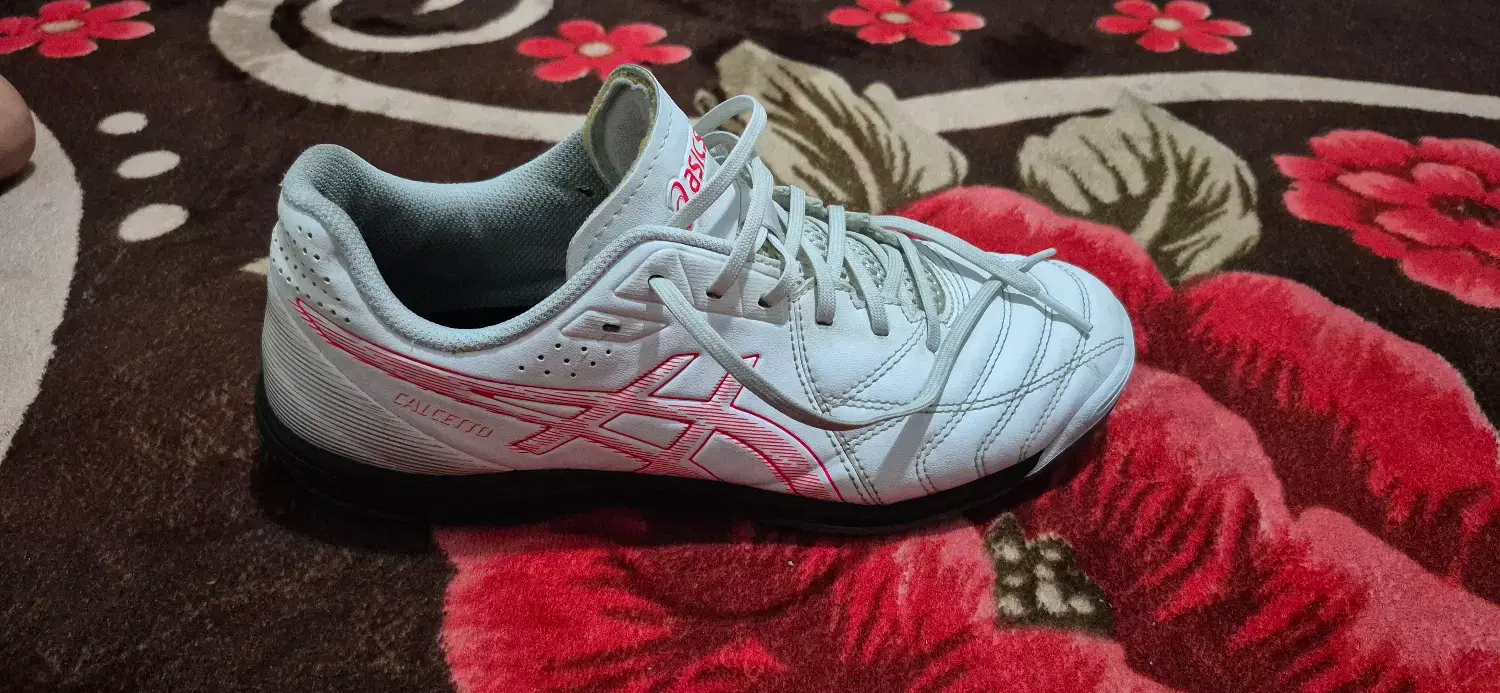 کفش asics|کیف، کفش، کمربند|شهریار, شهریار|دیوار