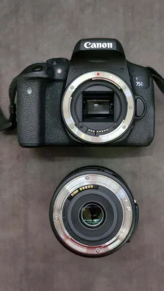 دوربین کنون 750d|دوربین عکاسی و فیلم‌برداری|کاشان, کوی اداره گاز|دیوار