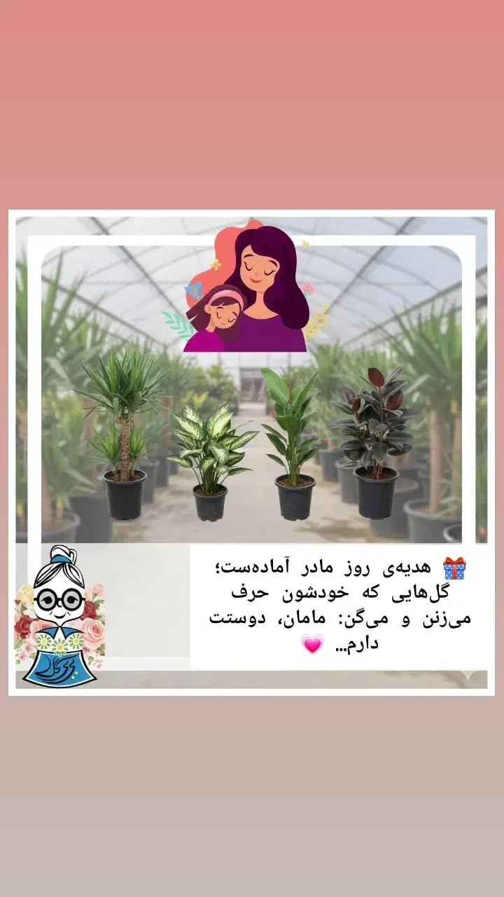 هدیه ی روز مادر رسید|گل و گیاه طبیعی|نیشابور, شهرک ولیعصر|دیوار