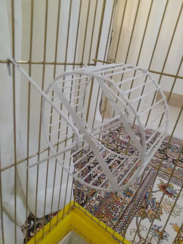 قفس پرنده|لوازم جانبی حیوانات|نیشابور, پنجراه|دیوار