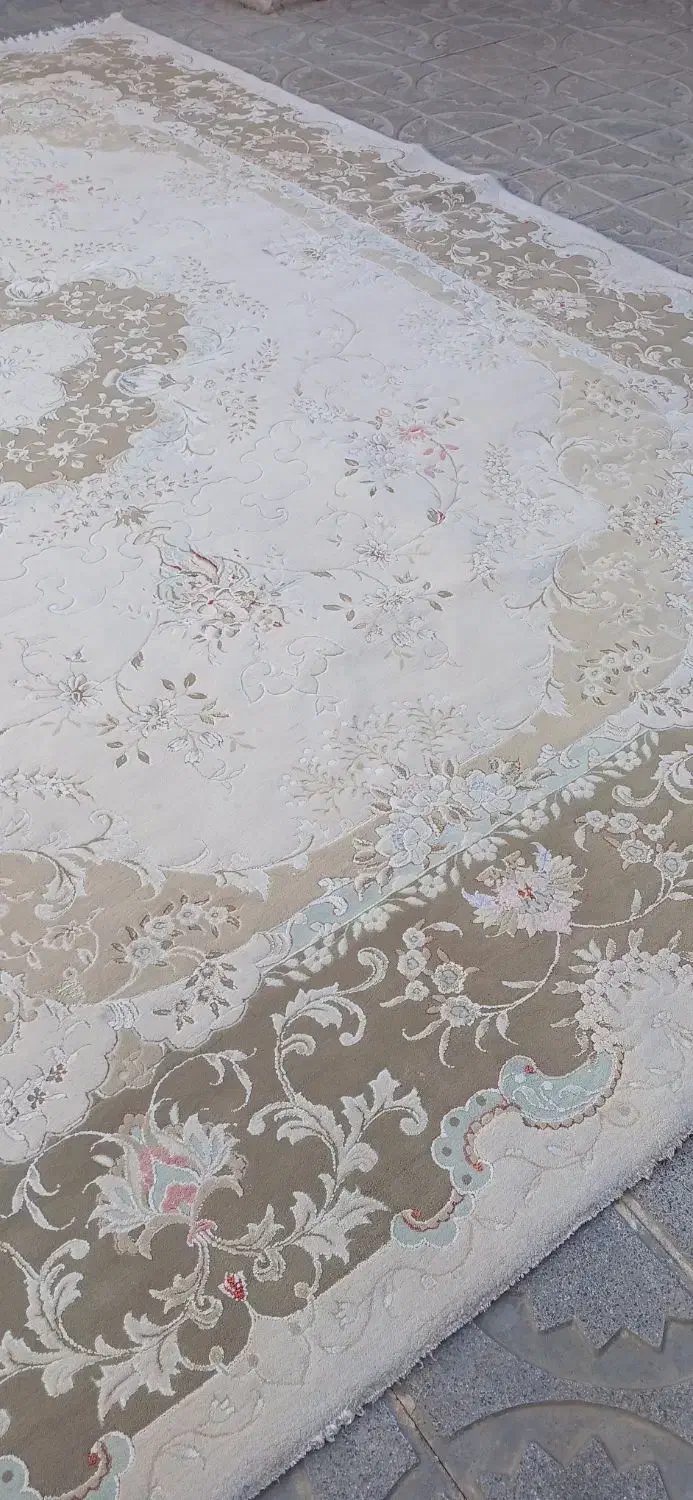 قالی ۱۲متری تمیزوسالم بدون کوچکترین پارگی یاسوختگی|فرش|تربت جام, میان جام|دیوار