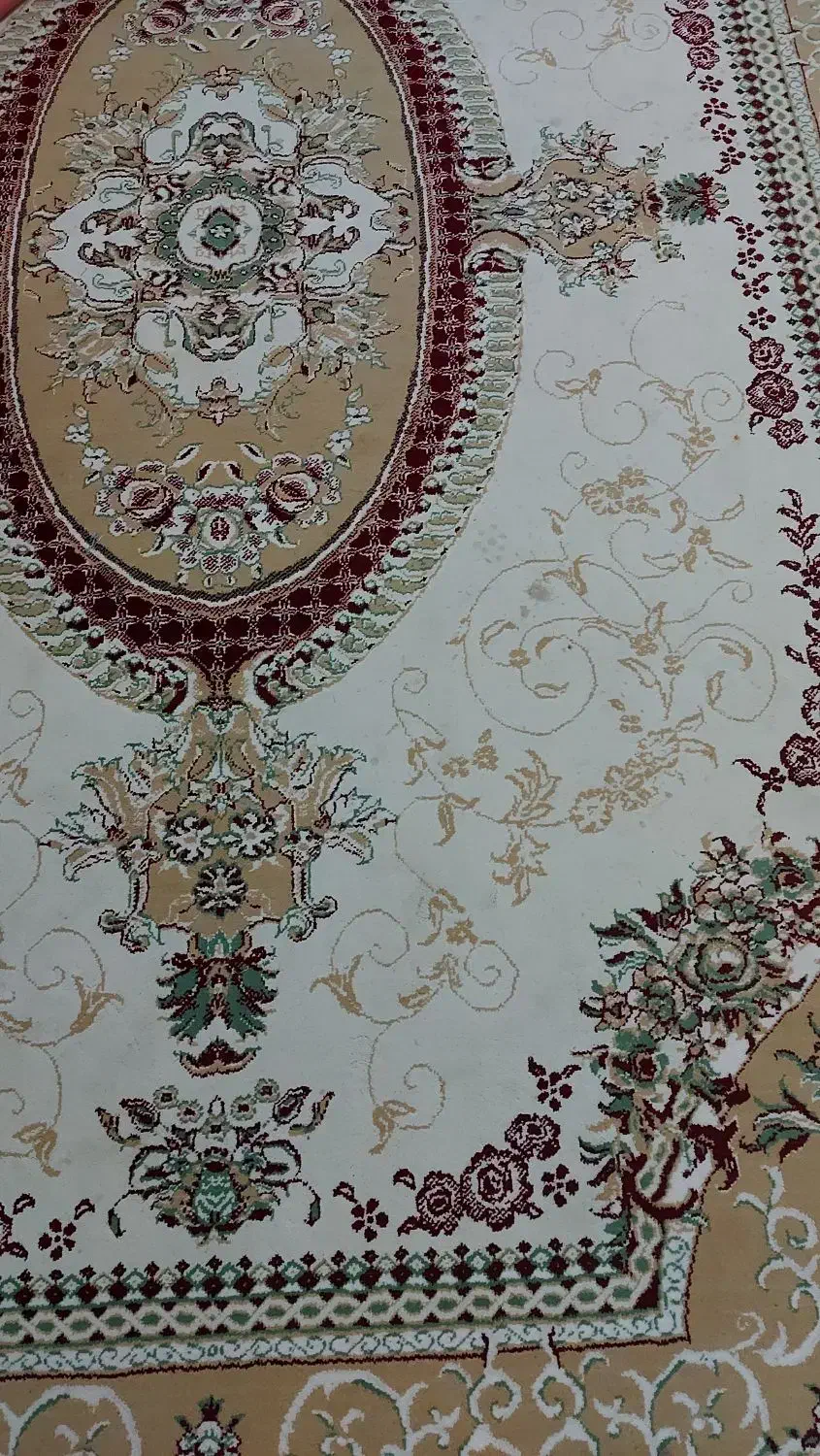 ۲ عدد فرش ۱۲ متری هم رنگ و یک ۱۲ و ۶ متری سفید|فرش|قیدار, |دیوار