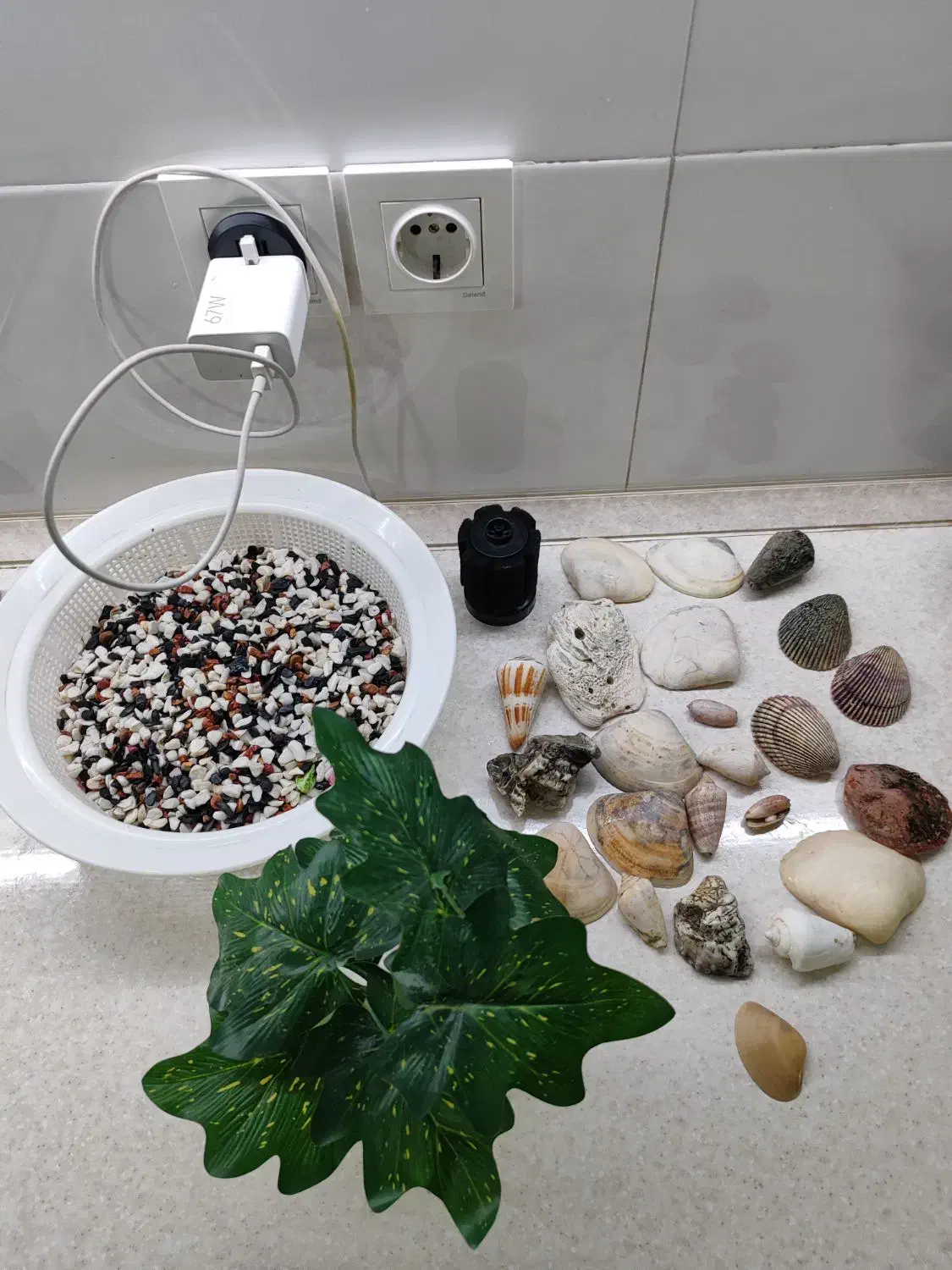 لوازم تزیینی آکواریوم|ماهی|تهران, وحیدیه|دیوار