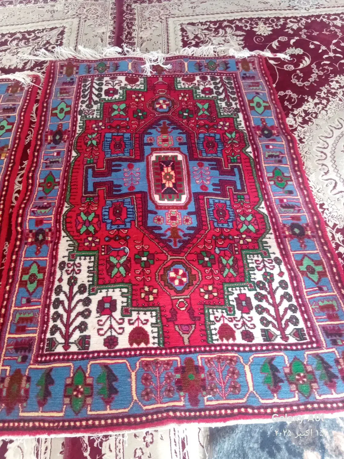 قالی دستباف گرگ حیدری|فرش|نهاوند, |دیوار
