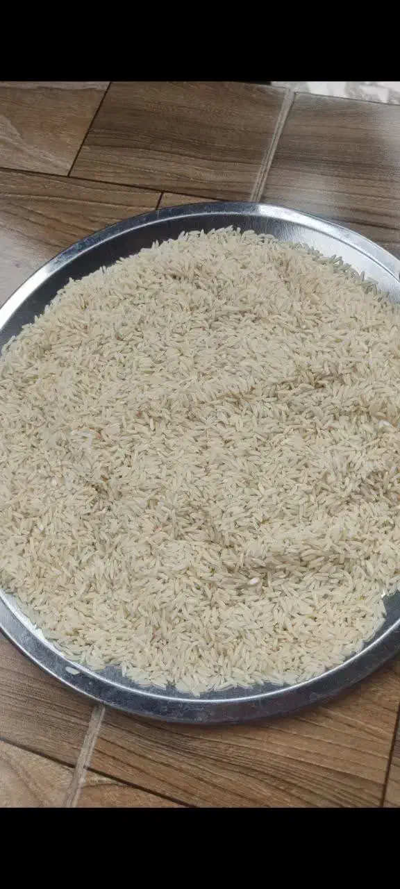 برنج هاشمی لاشه هاشمی درجه یک بشرط عطروپخت|خوردنی و آشامیدنی|هشتگرد, هشتگرد قدیم|دیوار