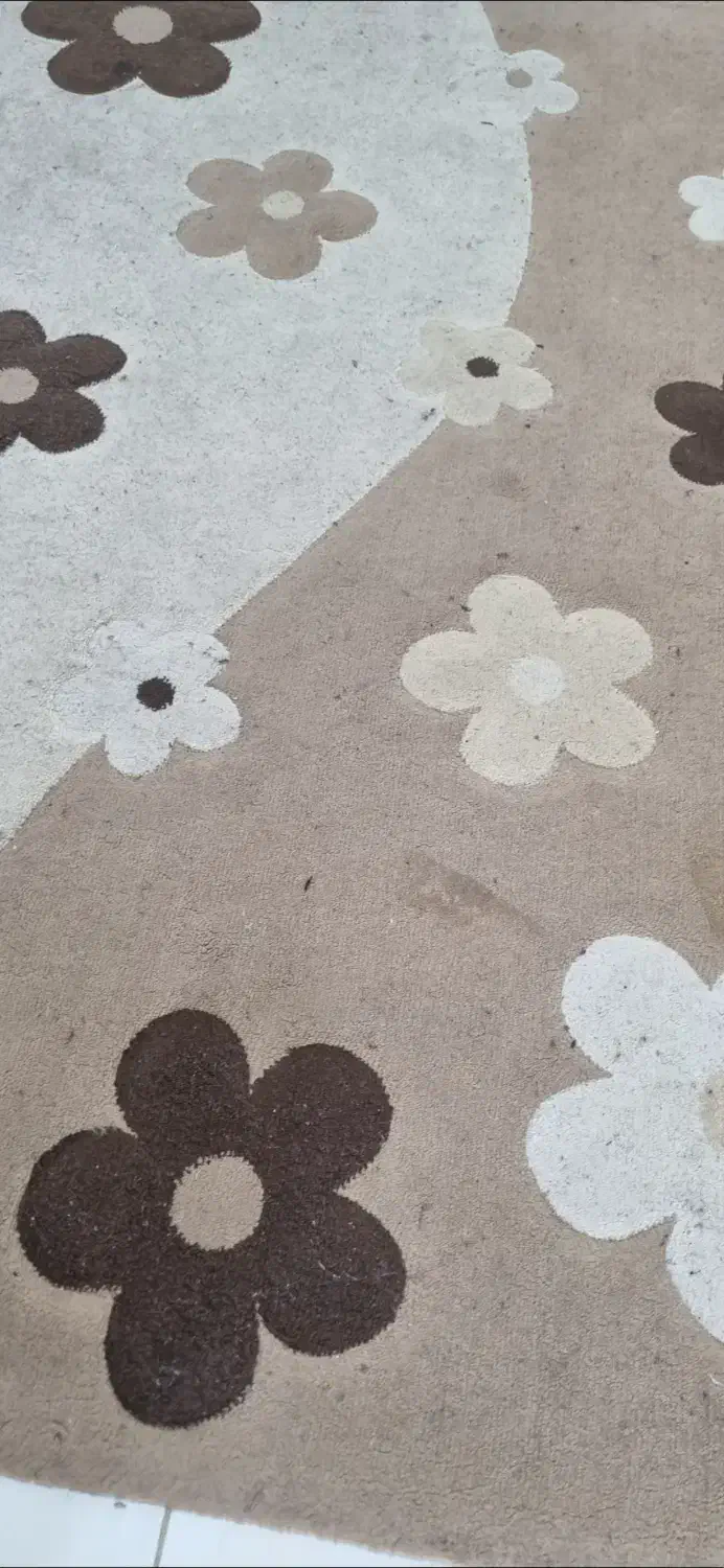 دوتا فرش زرنیم|فرش|تبریز, |دیوار