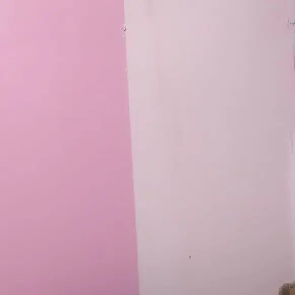 رنگ آمیزی ساختمان پذیرفته میشود..باقراردادکتبی،|خدمات پیشه و مهارت|بم, |دیوار