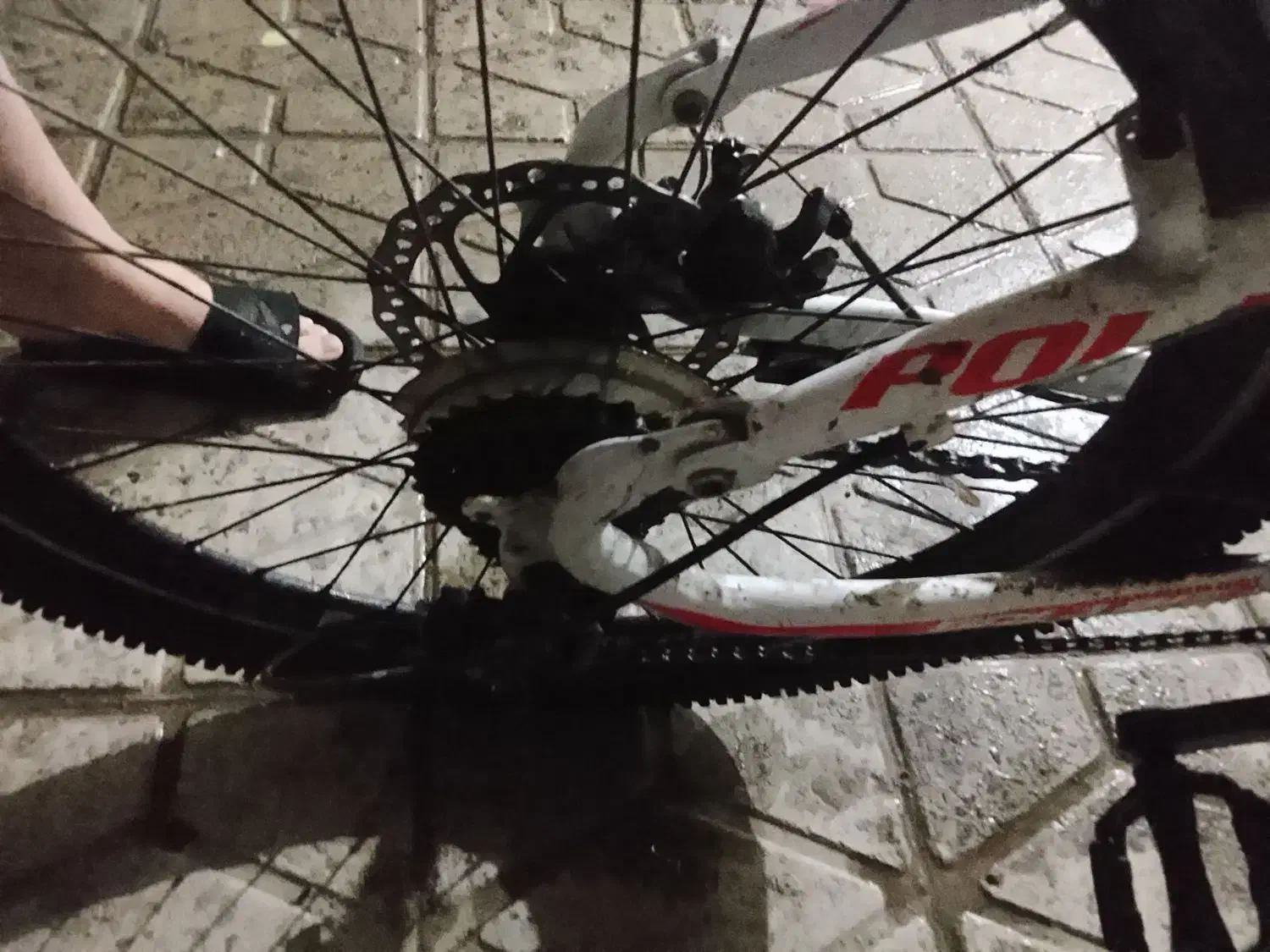 در حد نو|دوچرخه، اسکیت، اسکوتر|تهران, گلچین|دیوار