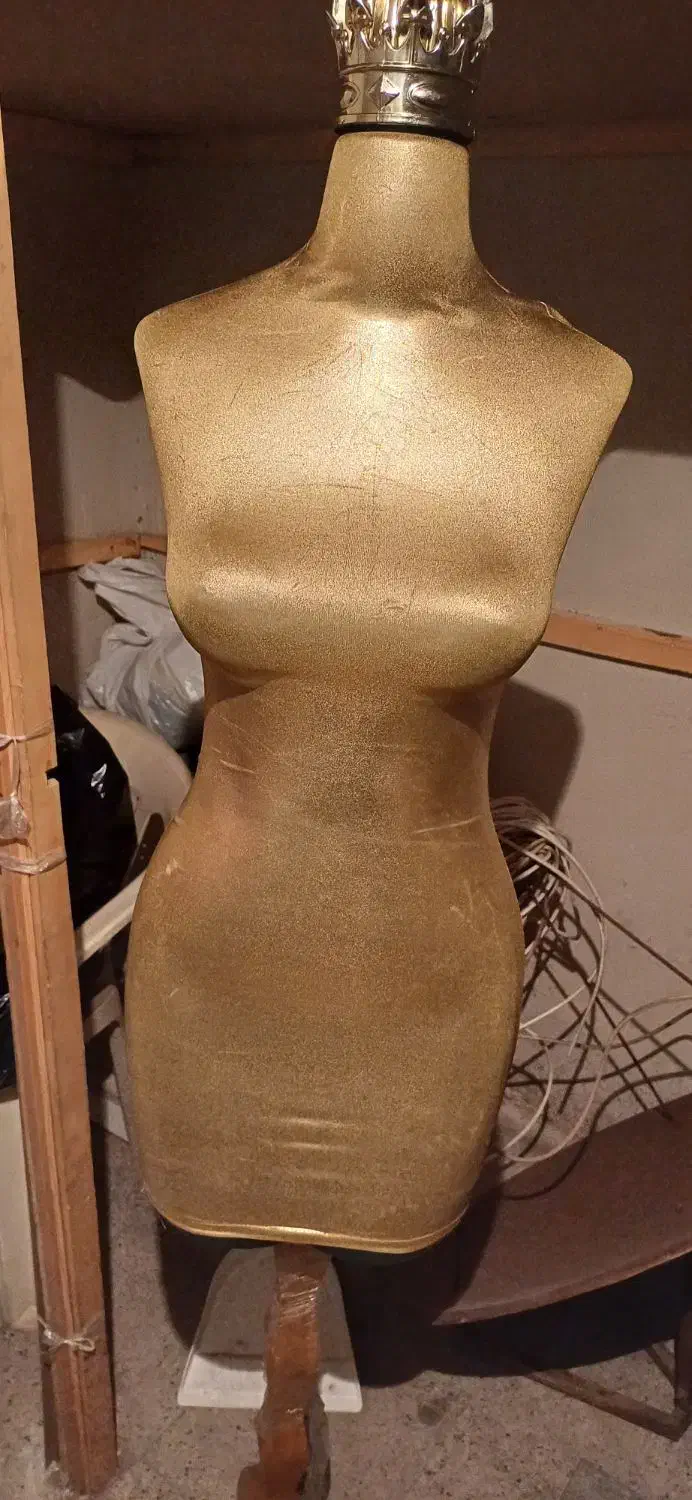 مانکن|فروشگاه و مغازه|تهران, مهران (سیدخندان)|دیوار