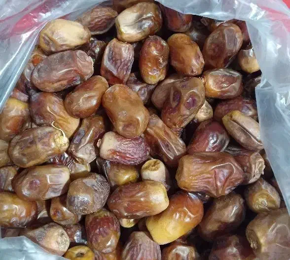 قصب (خرمای زاهدی) تازه امسالی|خوردنی و آشامیدنی|شیراز, شهرک قمشه|دیوار