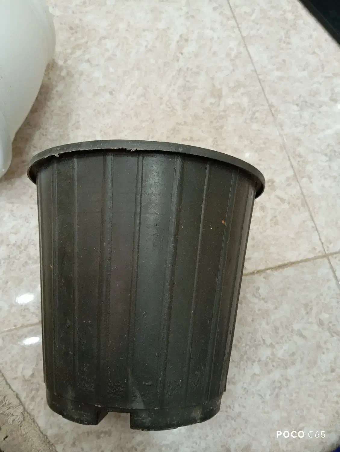 فروش گلدان در حد نو|حراج|صومعه‌سرا, |دیوار