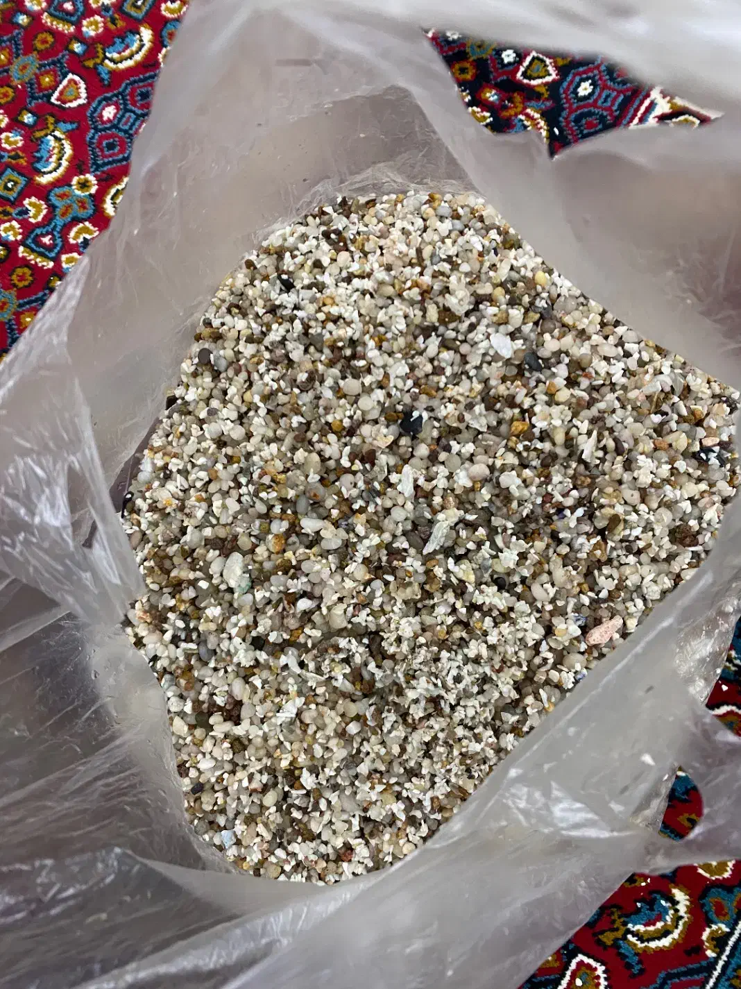 سنگ و شن آکواریوم ماهی|ماهی|مریوان, |دیوار