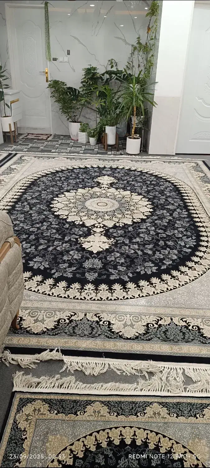 دوتخته فرش 12متری ویک کناره 4متری|فرش|لار, |دیوار