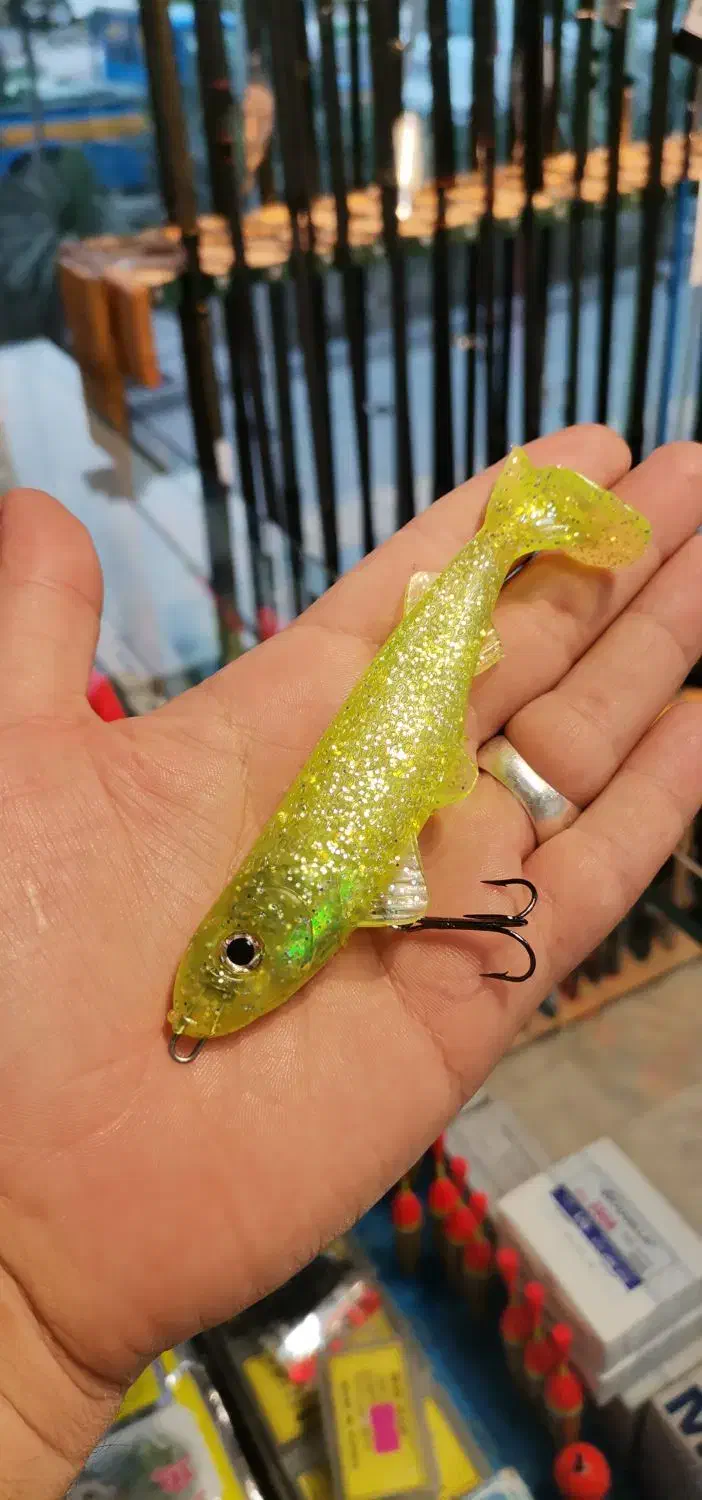 ماهی ژله ای|ماهیگیری|مشهد, آزادشهر|دیوار