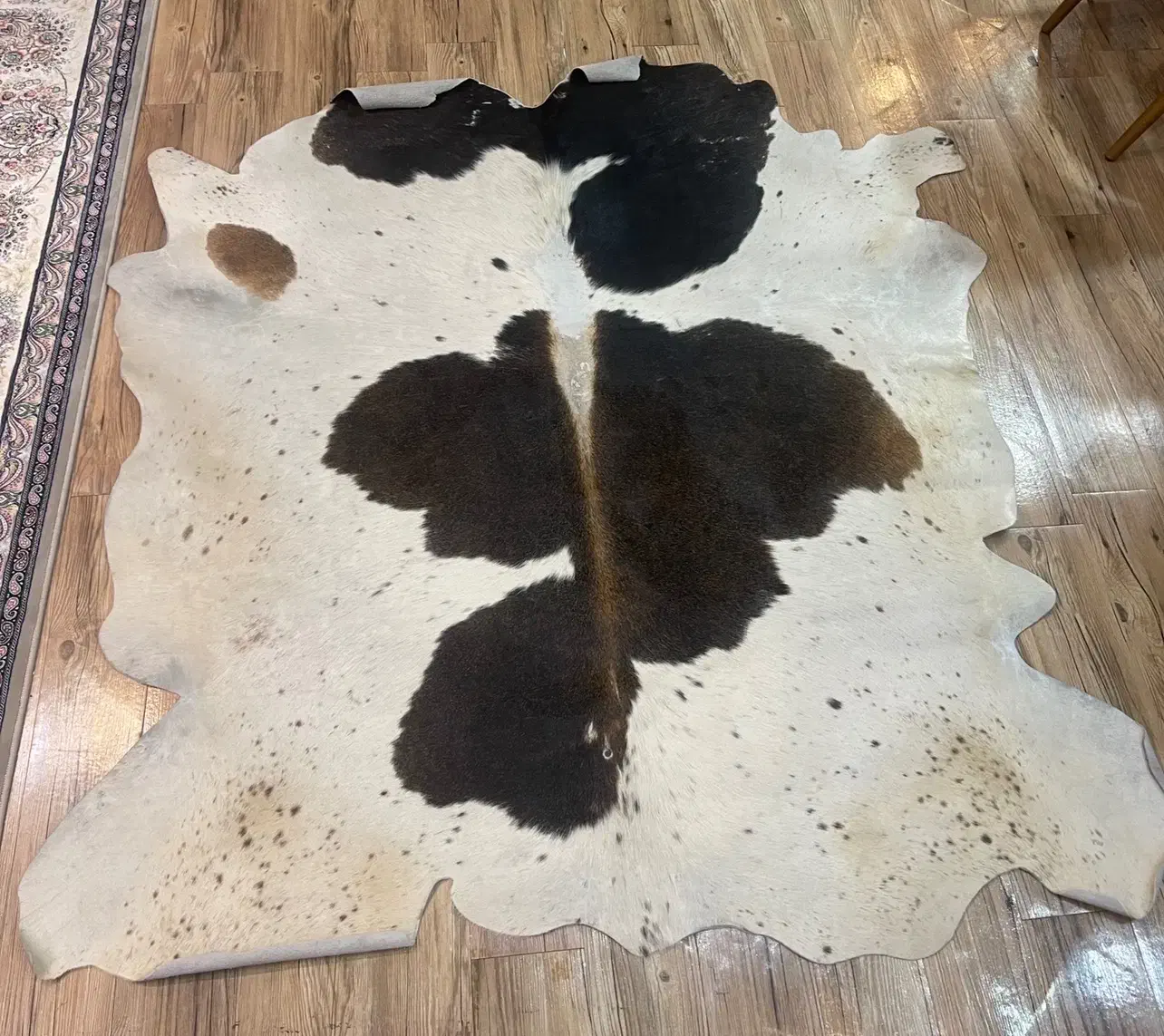 پوست گاو|گلیم، جاجیم، گبه|اصفهان, سپاهان‌شهر|دیوار