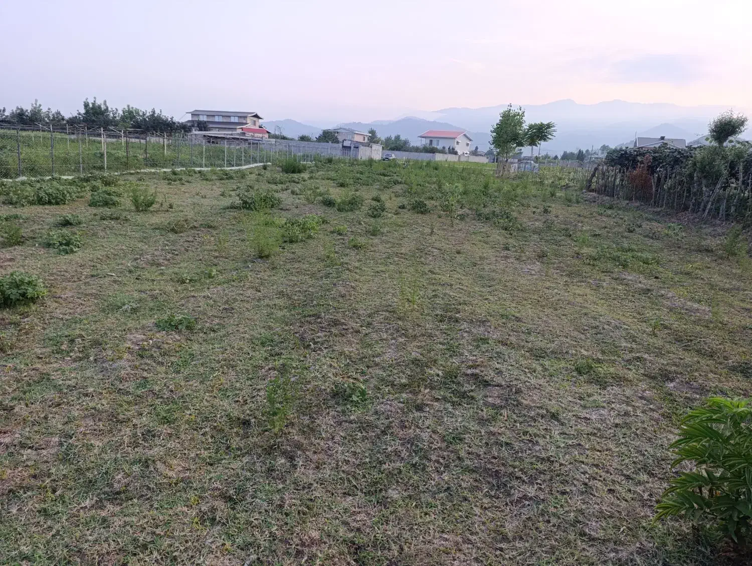 زمین باغی ومسکونی/ ۲۵۰۰متر/ سند دار|فروش زمین و ملک کلنگی|لیسار, |دیوار