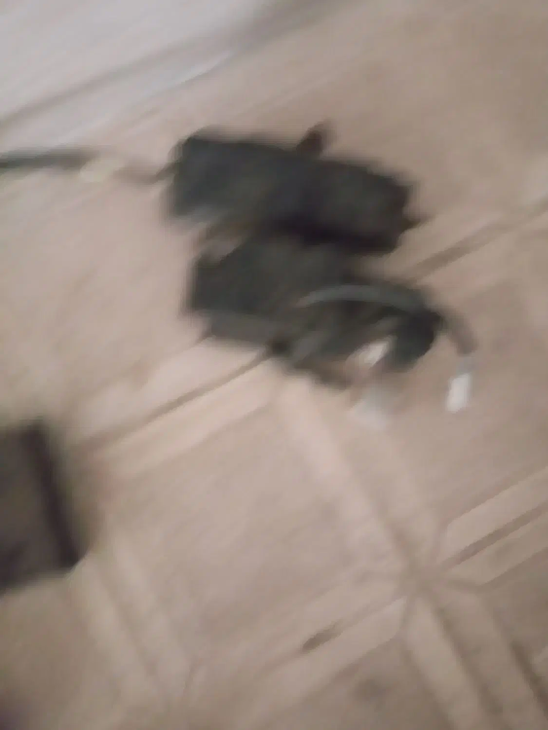 کلاچ برقی|قطعات یدکی و لوازم جانبی|بجنورد, |دیوار