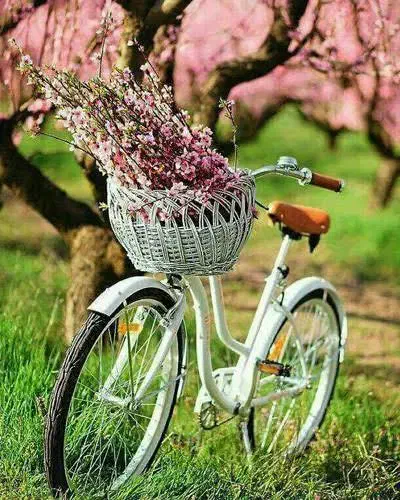 راهنمایی|فعالیت داوطلبانه|سنندج, |دیوار