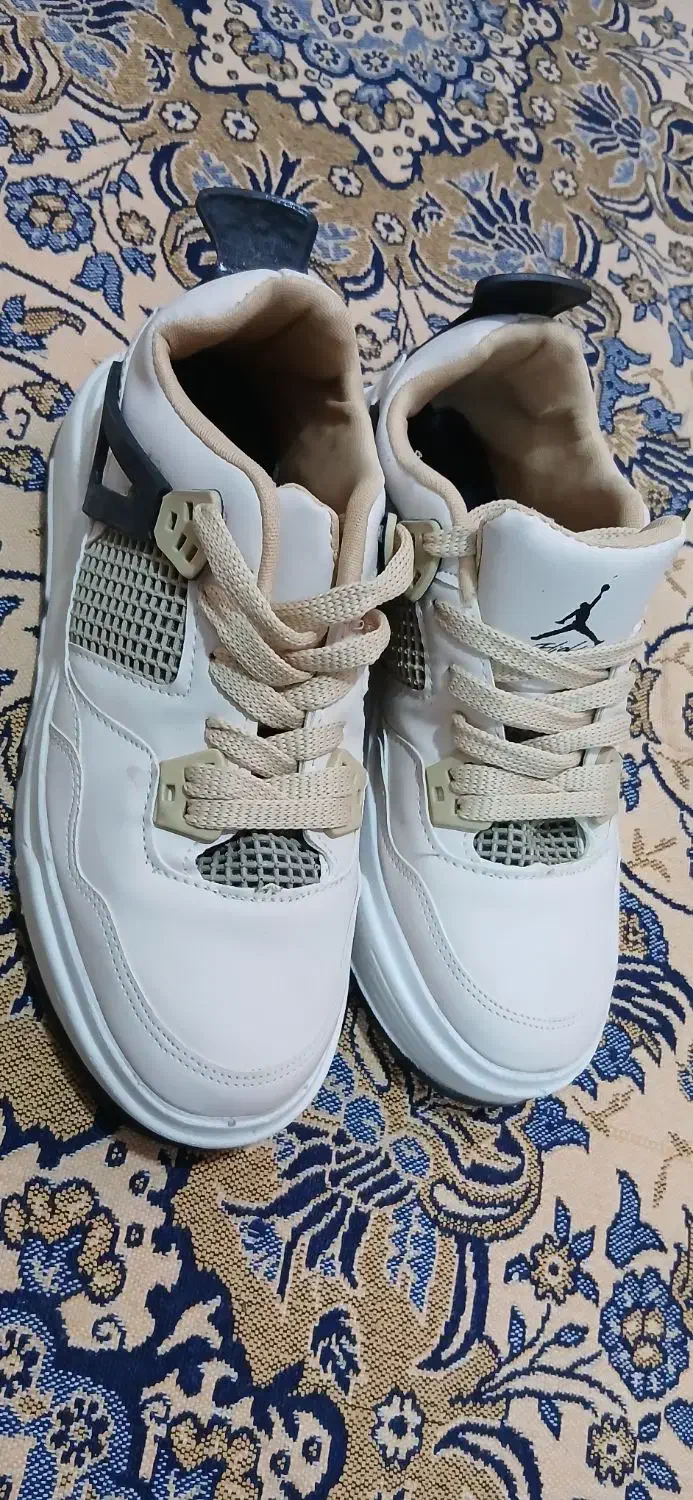 کفش نو|کیف، کفش، کمربند|بهبهان, |دیوار