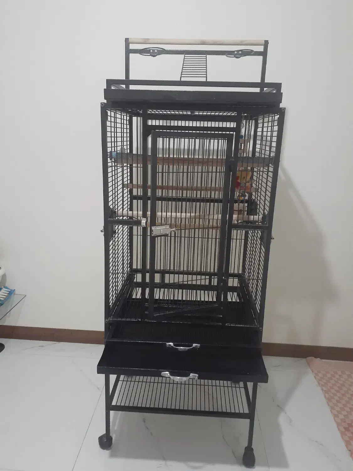 لوازم پرنده|لوازم جانبی حیوانات|فردیس, فردیس|دیوار