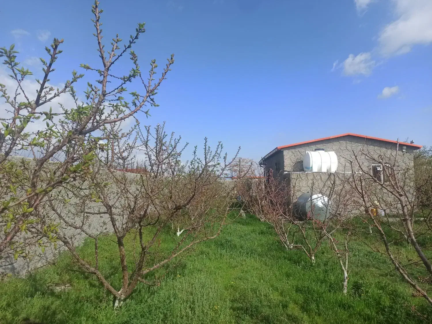 ویلا باغ کاملا آماده و دنج محدوده شبستر علی بیگلو|فروش خانه و ویلا|شبستر, |دیوار