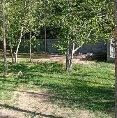 بم دهبکری خانه ساختمان۶۵متر|فروش خانه و ویلا|دهبکری, |دیوار